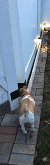 Kaylee explores the brickwork
