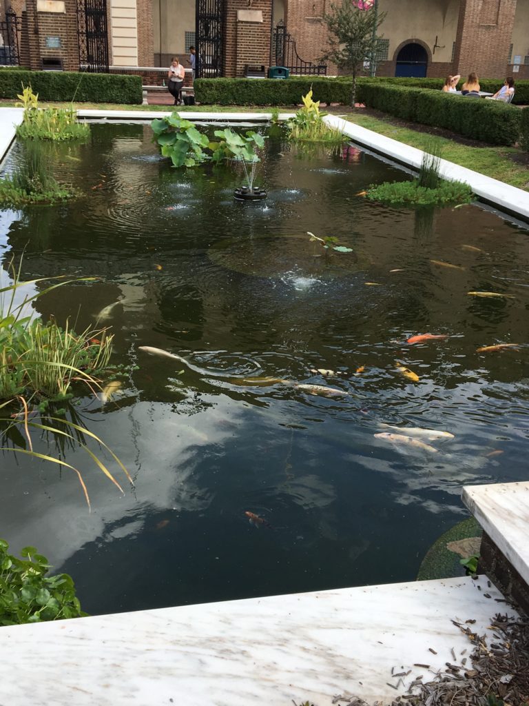 The koi pond at Penn Museum